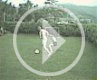 Ronaldicake