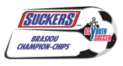 BRASIOU CHAMPION CHIPS